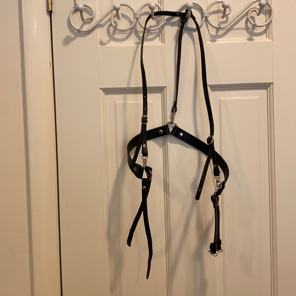 Zana Bayne harness
